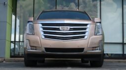 2020 Cadillac Escalade Platinum Sport Utility 4D full